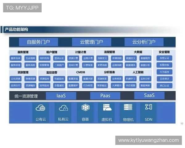开云网络在数字时代的商业转型中的重要角色